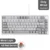 Wired Grey White AS
